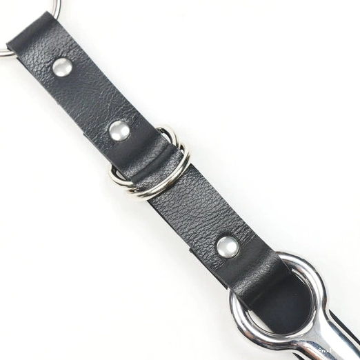 Anal Hooks 5853 Hook Kinky with Collar Anal Leash EverydayUse and 0811